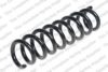 LESJ?FORS 4208491 Coil Spring